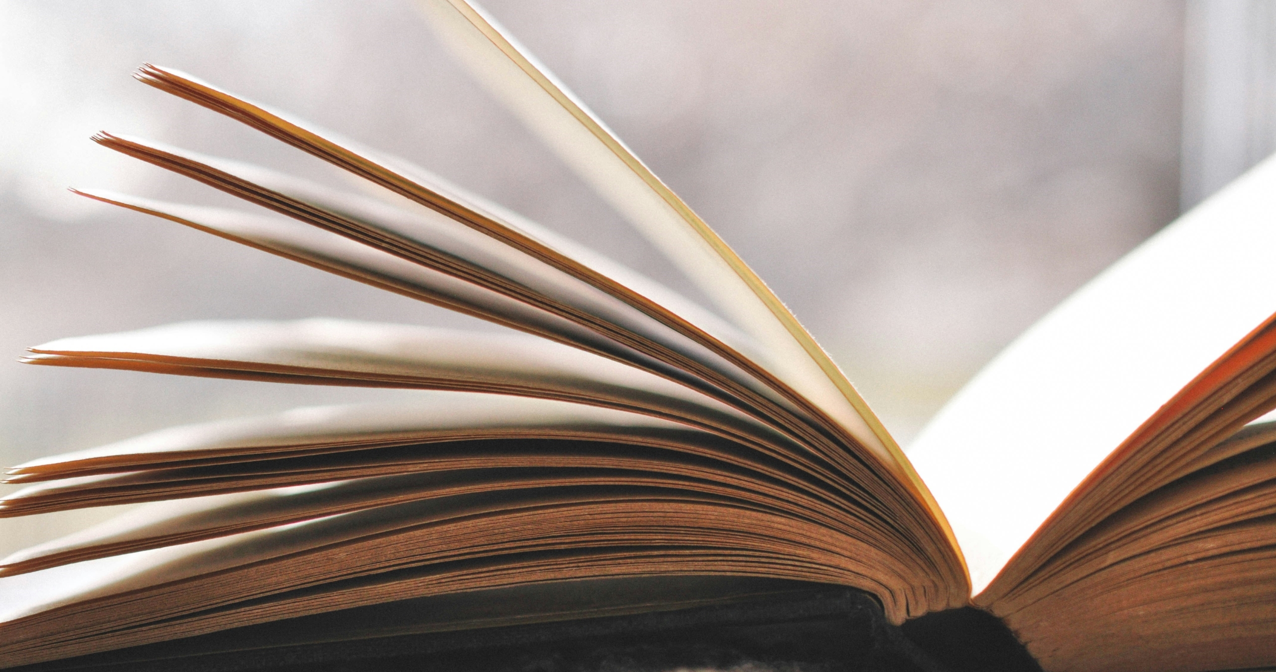 haley-parson–XeNMy8Xc0A-unsplash